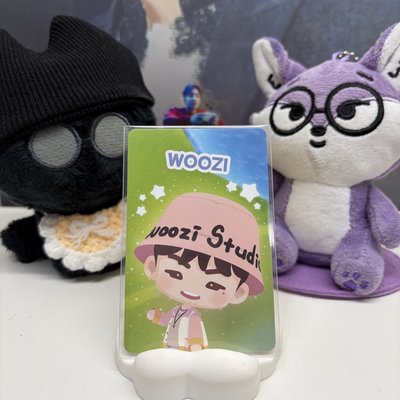 🍚知勳WOOZI｜遊戲卡｜PUZZLE SVT