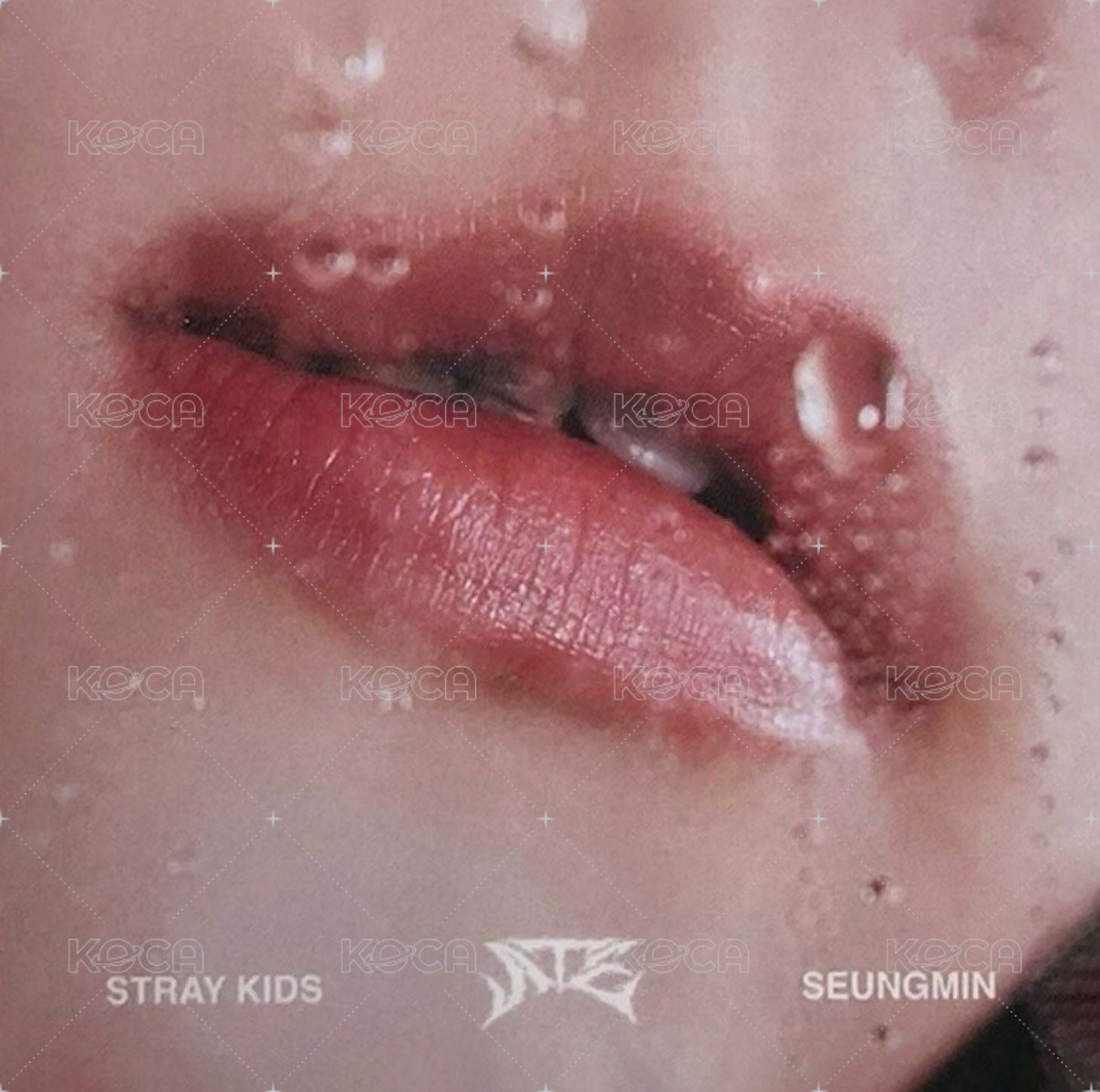 ATE 專輯卡 Accordion ver. 唇卡 正面