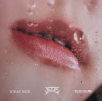 ATE 專輯卡 Accordion ver. 唇卡