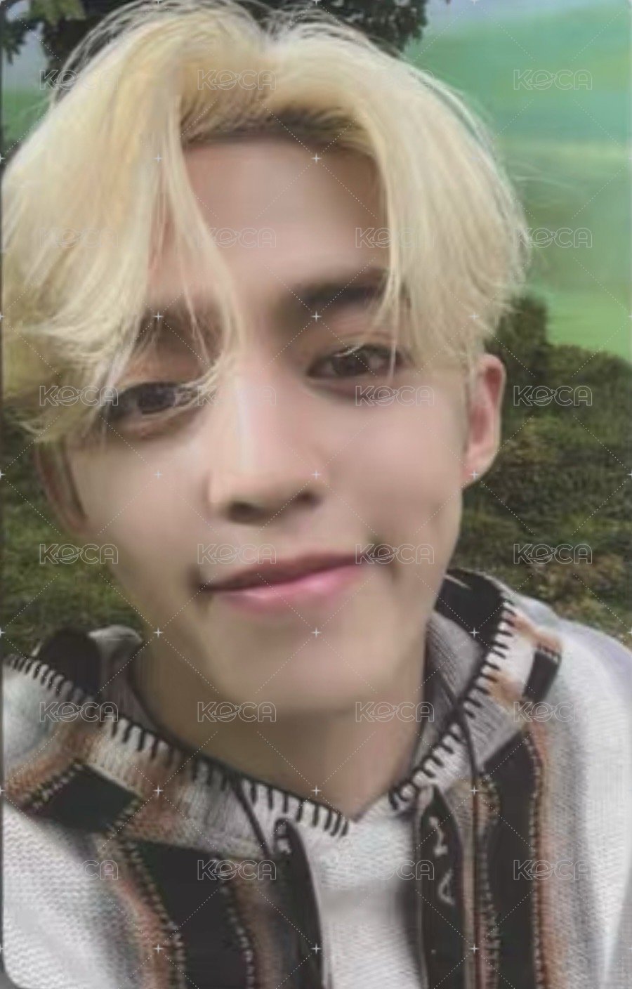 MINI11 專輯卡 ｜WVS電子專ver. 正面