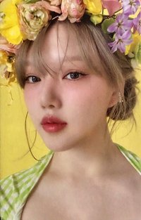 ARIA 專輯卡 粉版