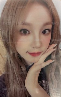 代言卡 frank 漢堡卡ver.B 托臉琦