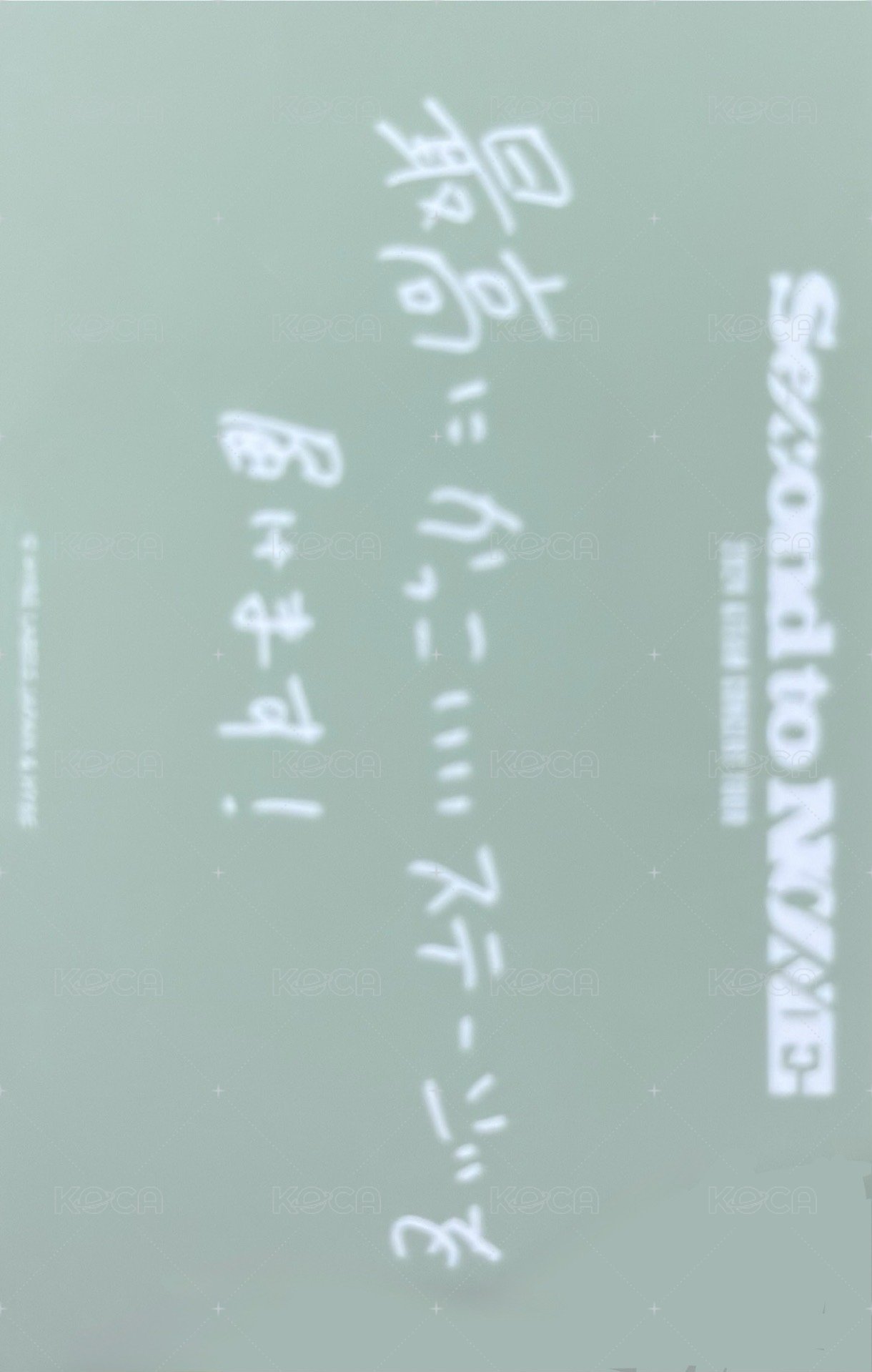 STN 隨機卡  背面