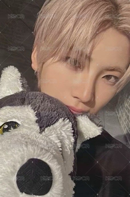 雪明かり (yukiakari) 專輯卡 單封專卡D1 正面