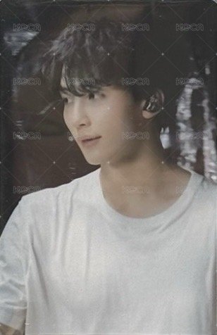 FOLLOW FELLOW 隨機卡  正面