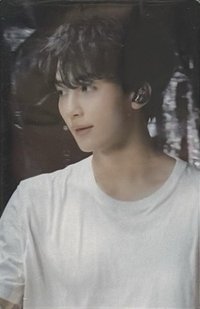 FOLLOW FELLOW 隨機卡 