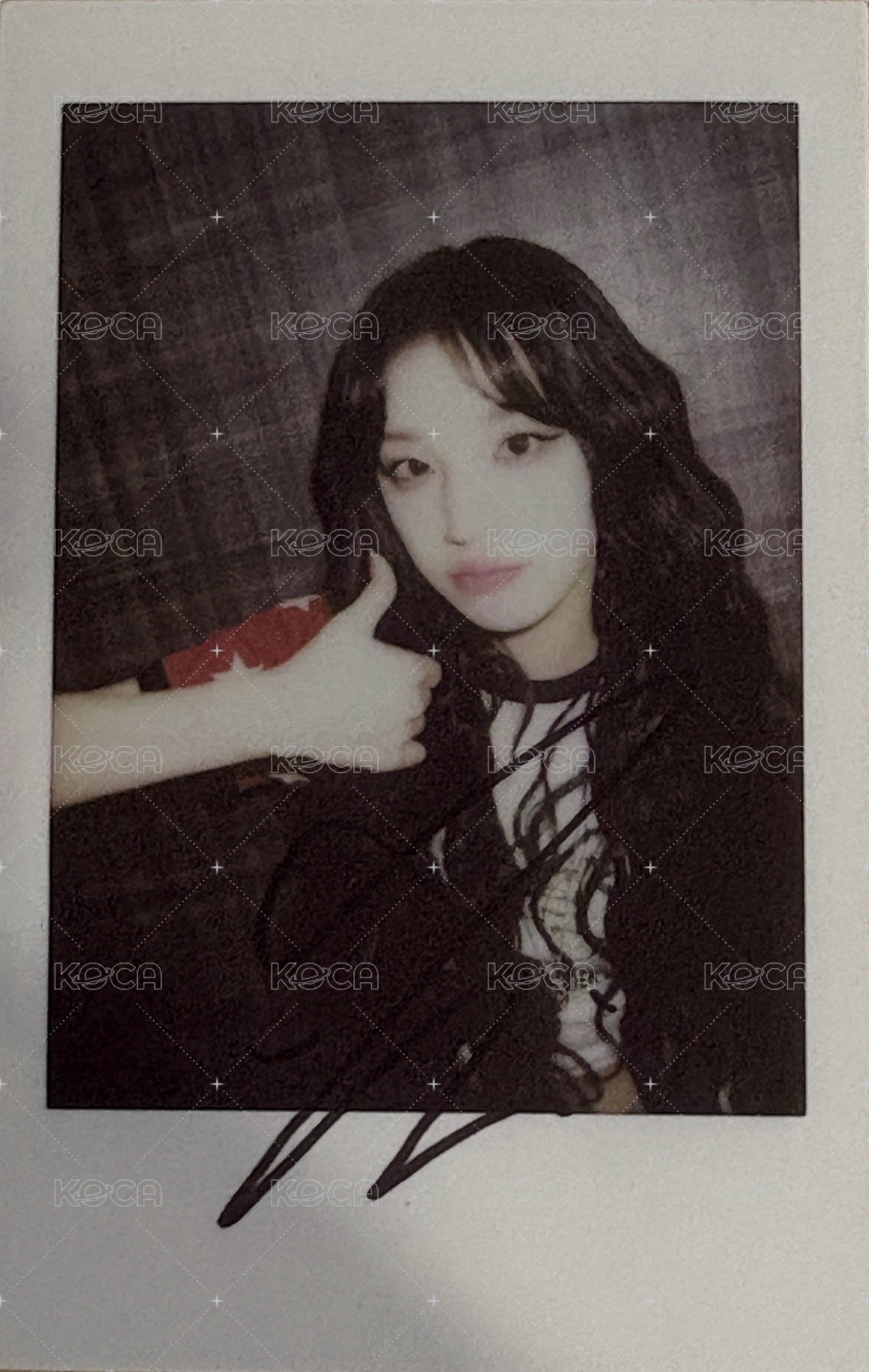 24’演唱會 iDOL 演唱會 DVD / CD 卡  正面