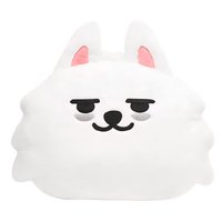 PPULBATU快閃 抱枕 CHOI YONG MEONG