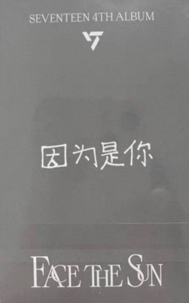 🦊圓 正規四yzy 中文卡背