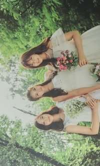 正一 專輯卡 團卡