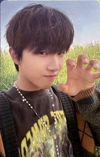 WHY.. 專輯卡 Letter ver. 單封卡