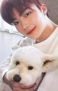 正規一 專輯卡 團封 狗狗 ver.