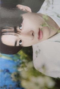 WTL FINAL wvs 隨機卡 倫02/08 官拍卡