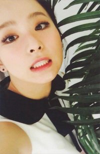 The Velvet 專輯卡 