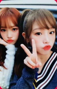 COLOR*IZ 專輯卡 雙人卡椰菜