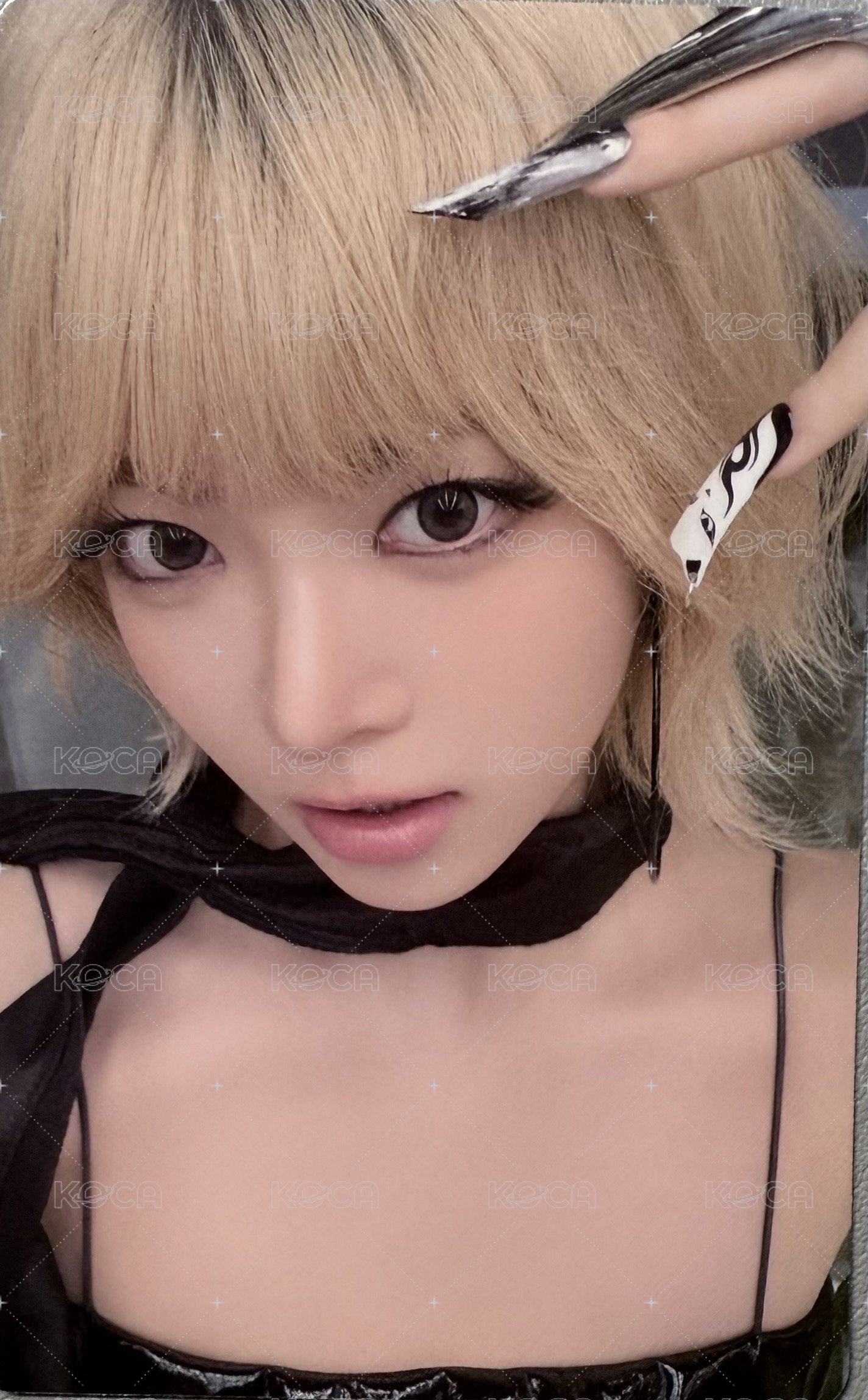 HOT wvs 特典卡 單封預售採 正面