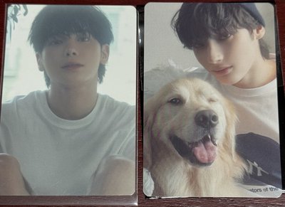 TXT sanctuary 快閃週邊 卡套+小卡