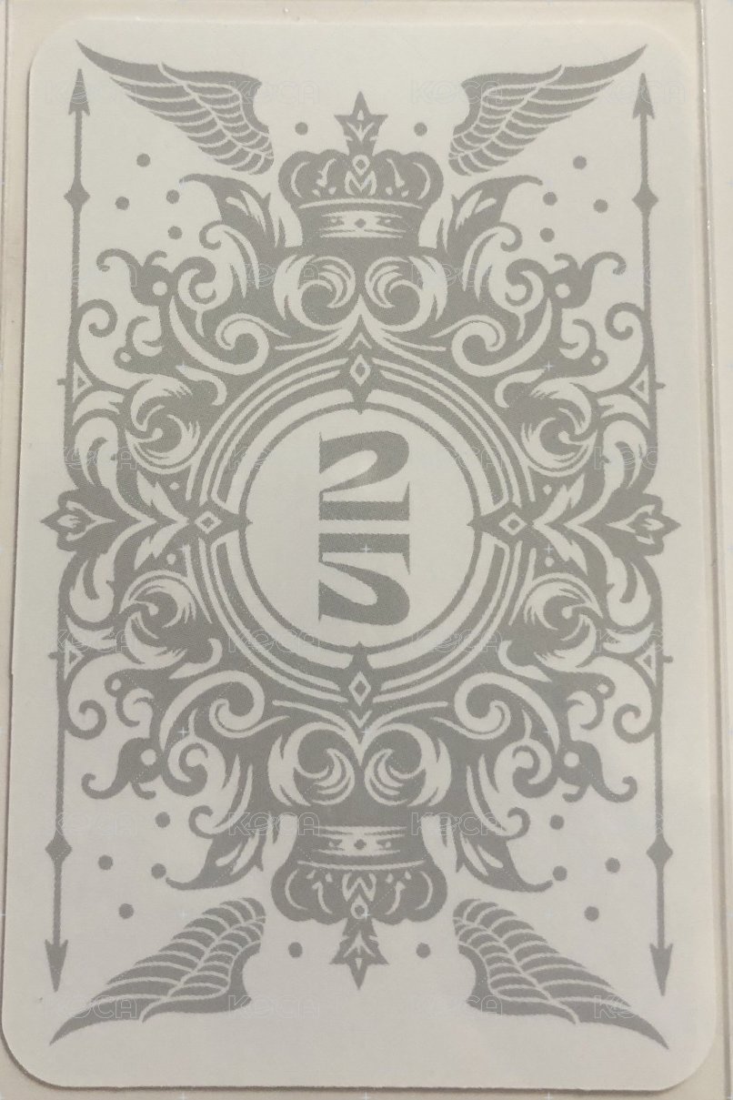 正規二快閃 周邊卡  背面