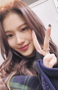 23’ 五巡 演唱會 DVD / CD 卡 日巡