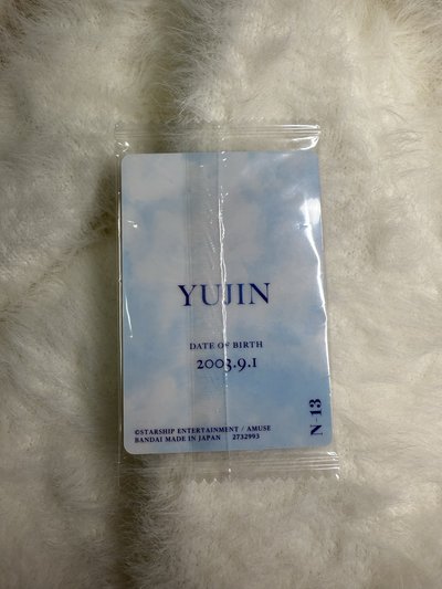 萬代餅乾隨機卡安 未拆