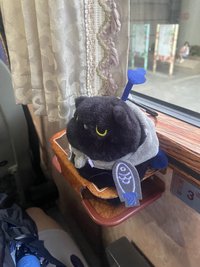 碰碰