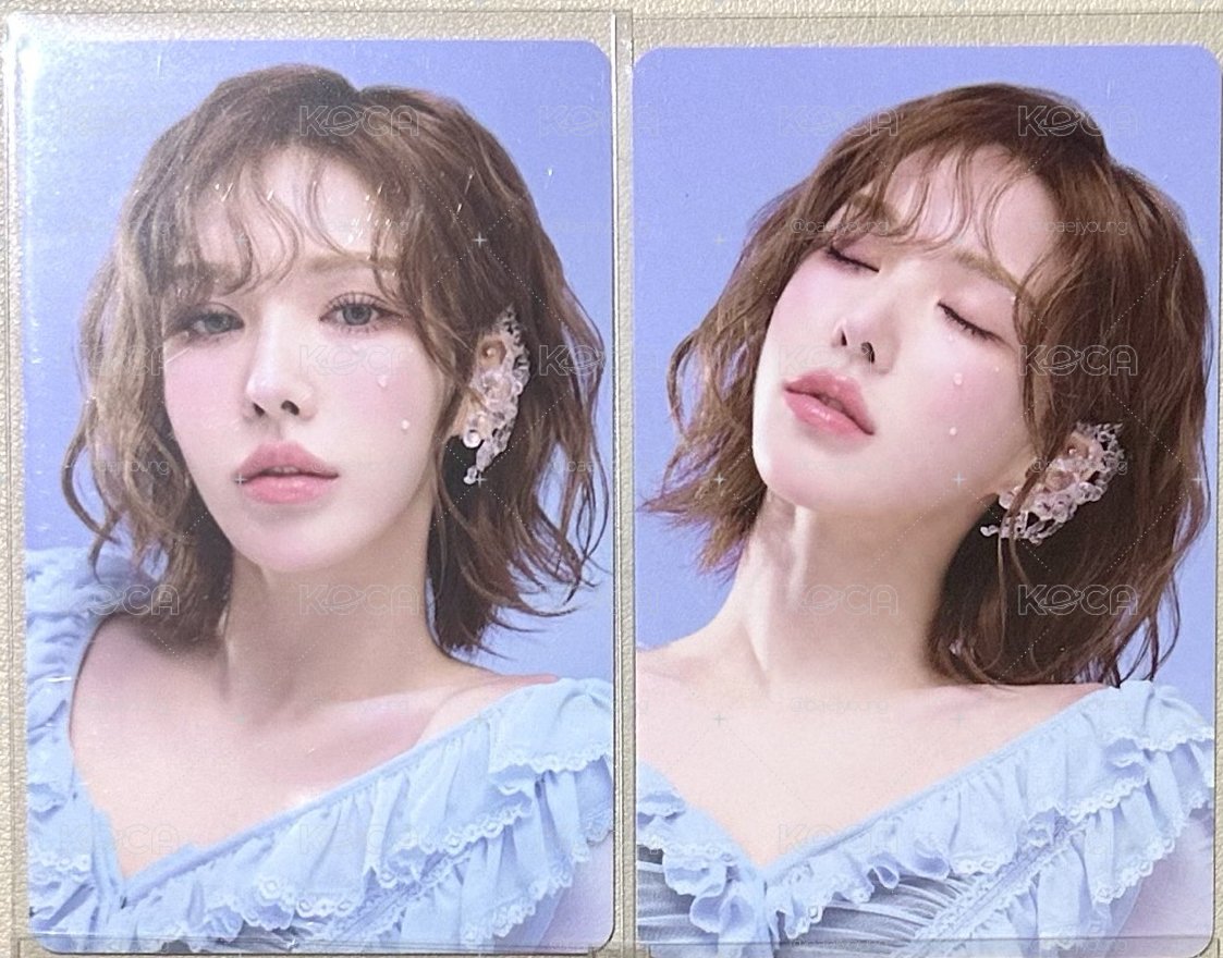 red velvet 2025 season’s greeting 隨機卡 溫*2