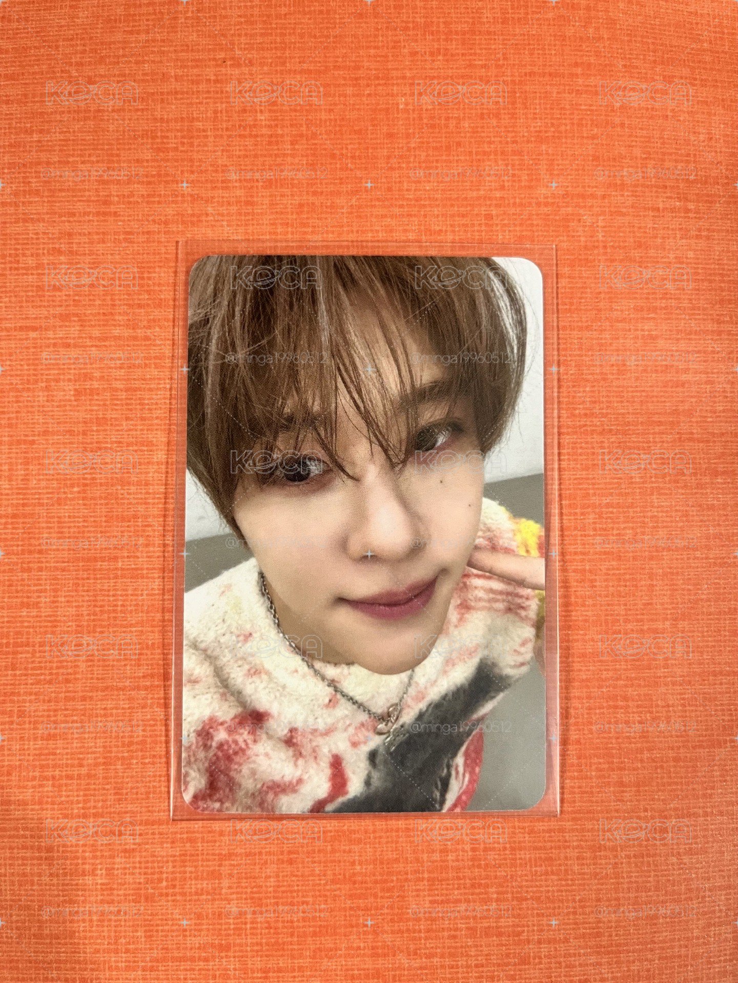 NCT WISH poppop sion AM特典卡