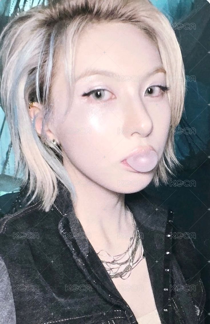 FORWARD sw 線下 2.0 簽售卡 泡泡糖 正面