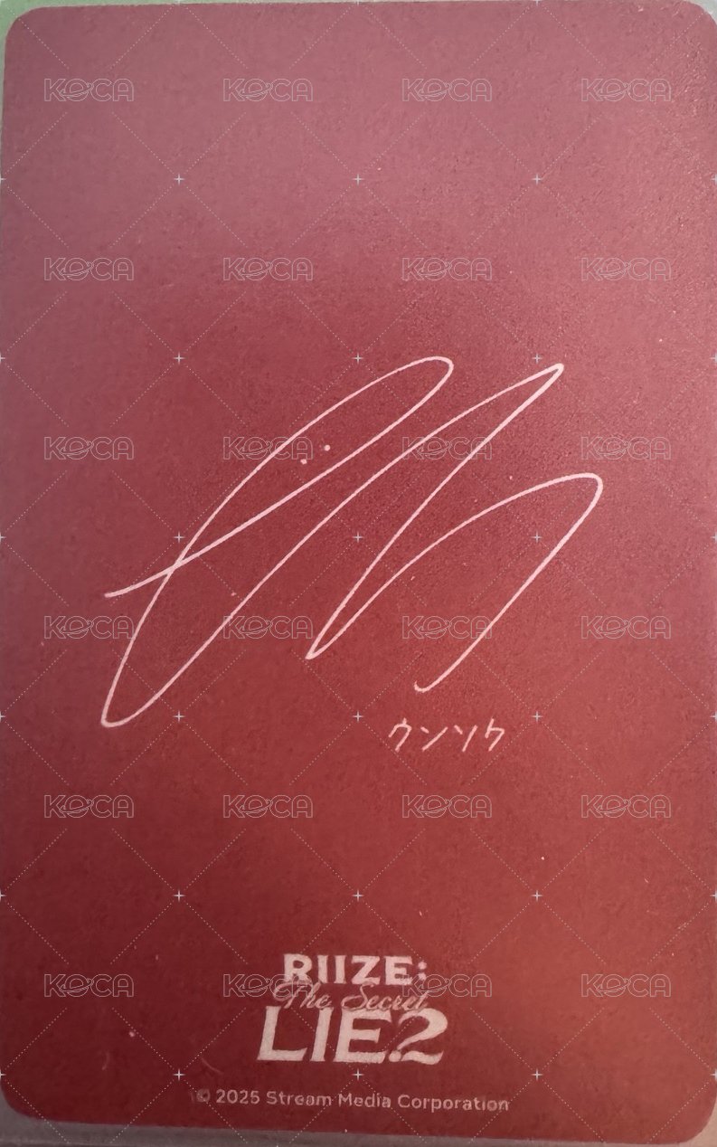 2025日本fm 周邊卡 龍石徽章卡 背面