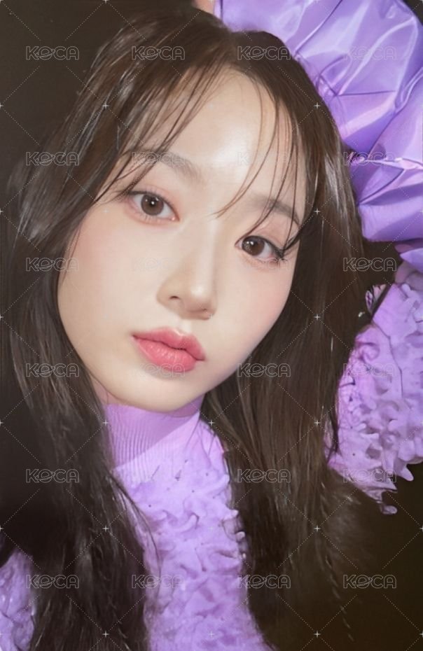 expérgo 楠藝 預售 特典卡  正面