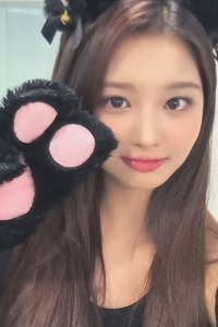 仲夏夜 sw 3.0 幸運卡 黑貓