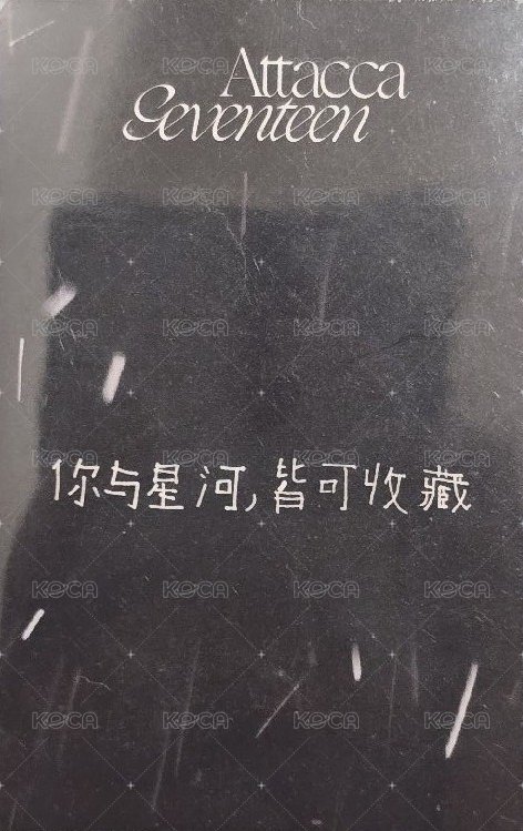 MINI9 yzy B 簽售卡 中文卡背 背面