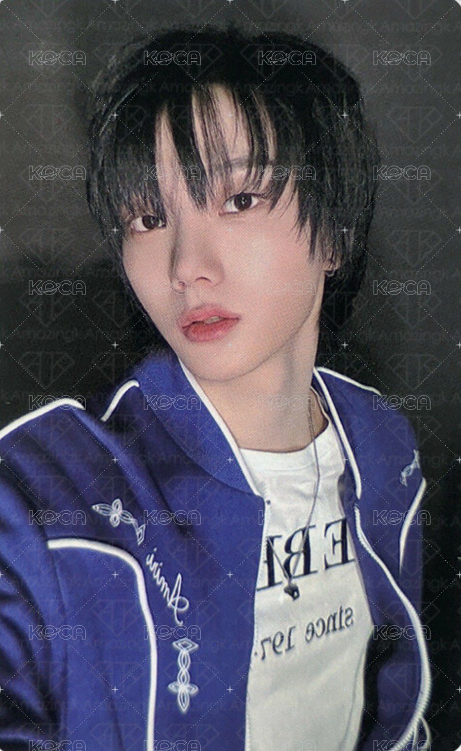 HOW? wvs 預售 特典卡 1 正面