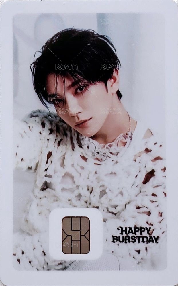 十週年 交通卡  背面