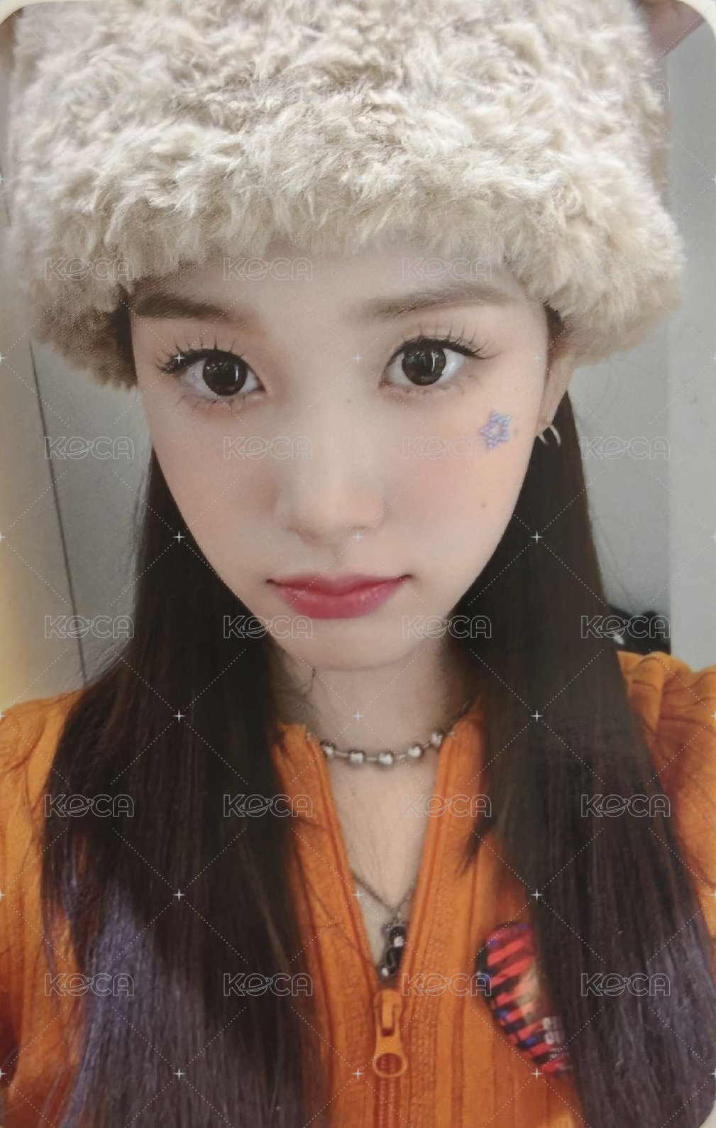 Teddy Bear am 特典卡  正面