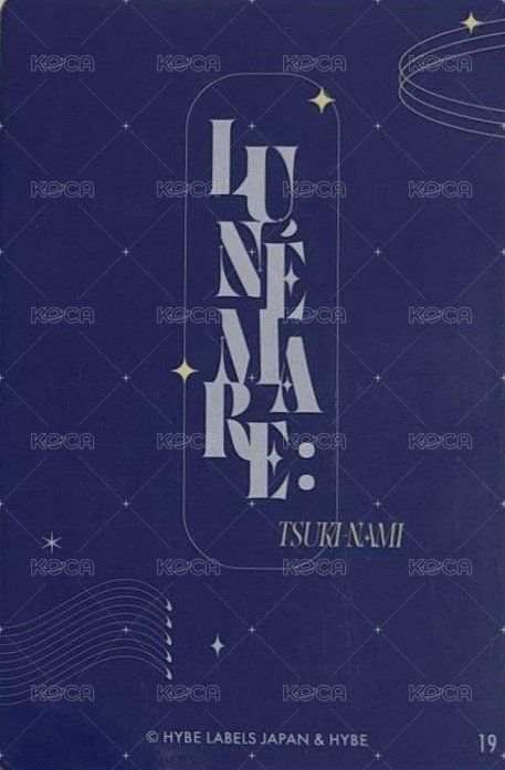 月波 隨機卡  背面