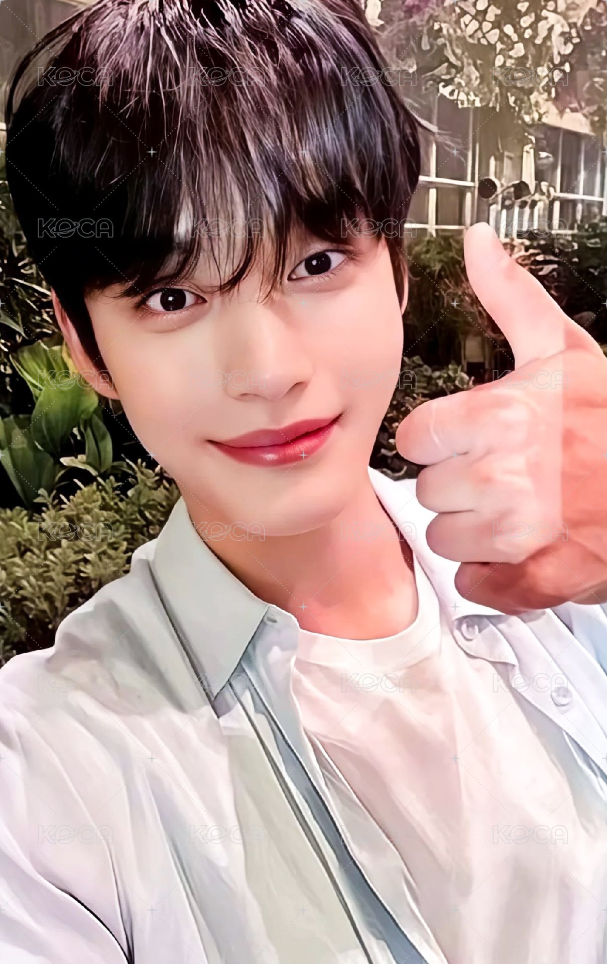 迷一 ju 特典卡 比讚 ver. 正面