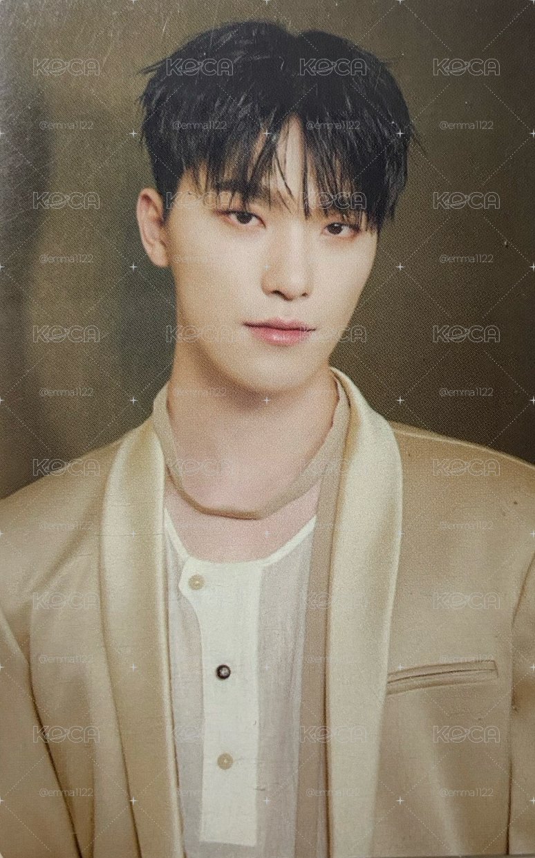 seventeen DINO