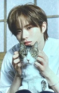 初次見面 專輯卡 初回限定A