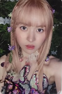 仲夏夜 阿拉丁 預售 特典卡 