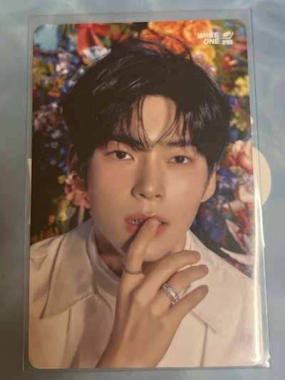 小倉鼠在花花的世界🌼