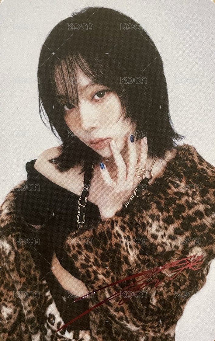 三巡 隨機卡 日巡隨機卡冬 正面