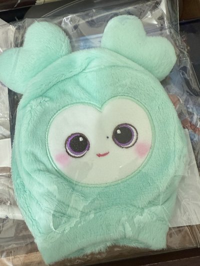 twice Mina FM 快閃 手燈套