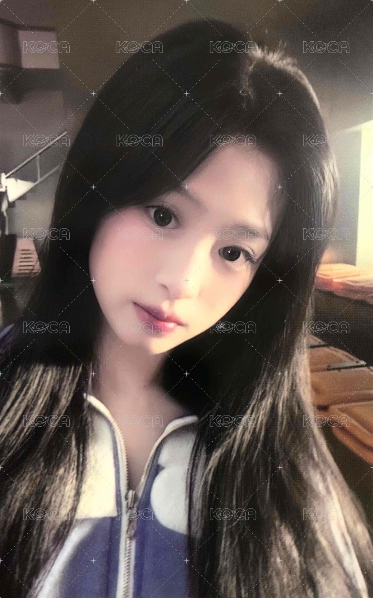 25’世巡 wvs 相框卡 周邊卡  正面