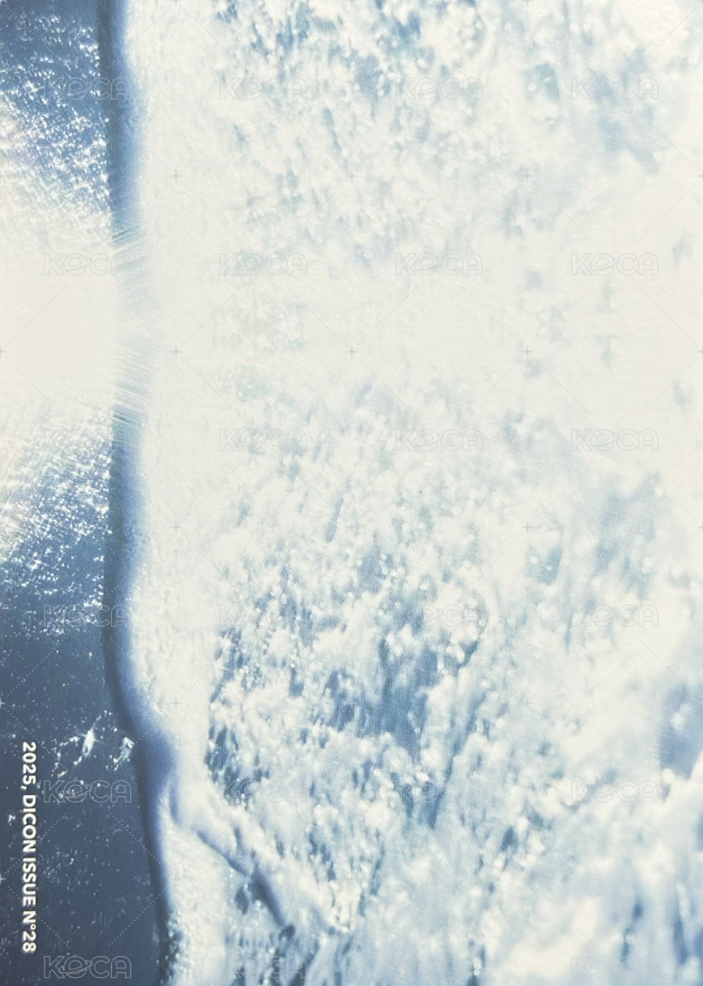 D社 明信片 A-TYPE 背面