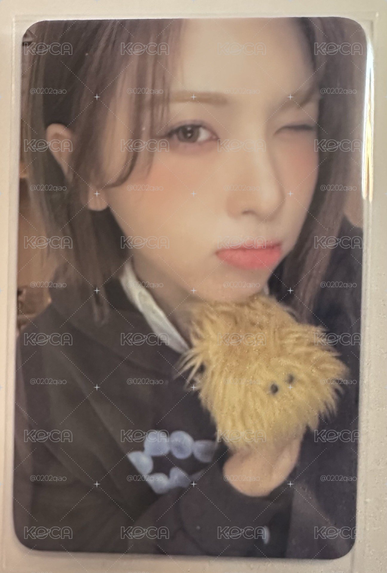 ⭐️簽售裴