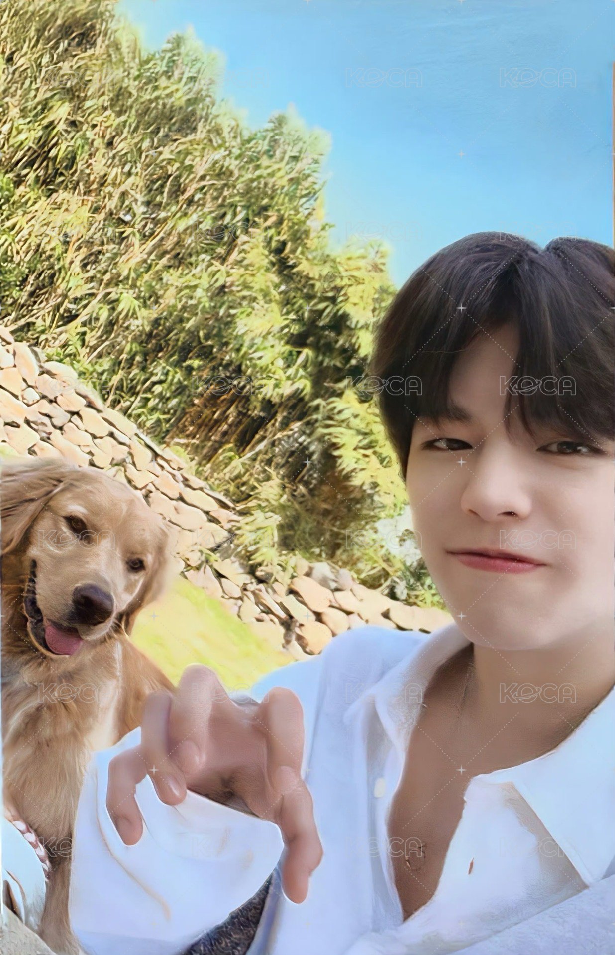 Stay in STAY jyp 特典卡 預售禮 正面