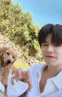 Stay in STAY jyp 特典卡 預售禮