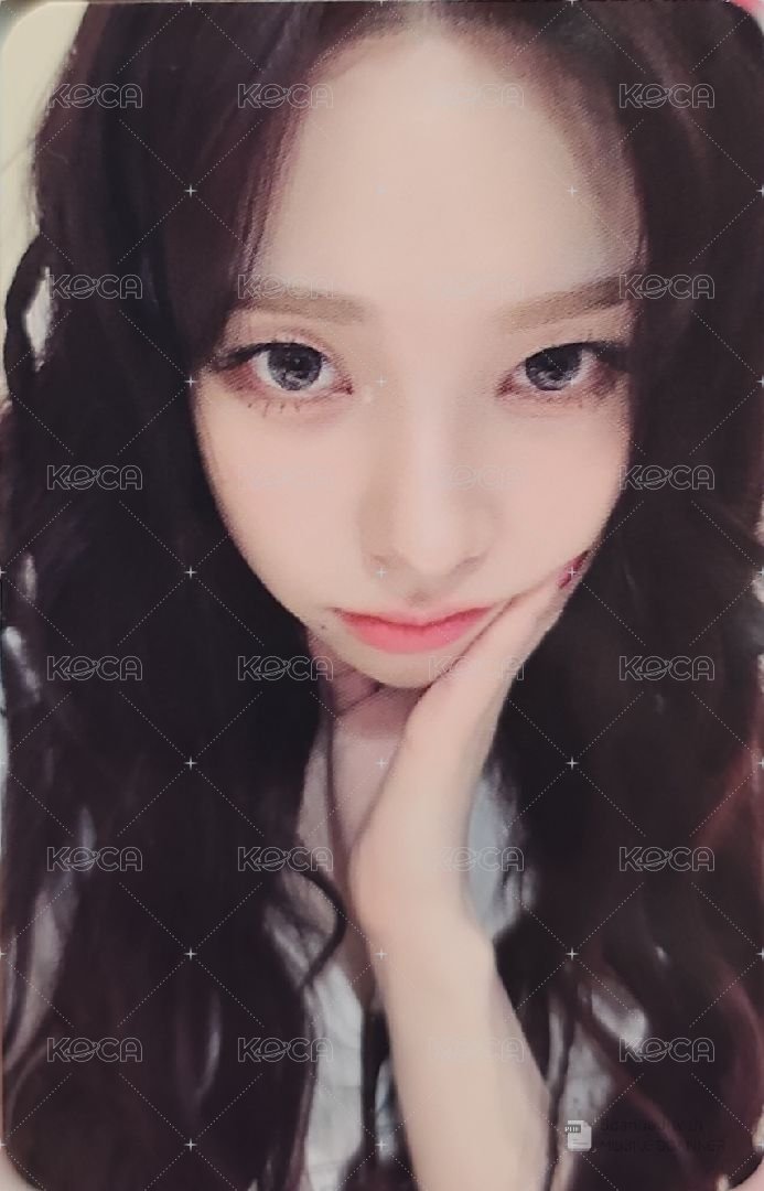 Whiplash 周邊卡 快閃鞋帶扣柚 正面