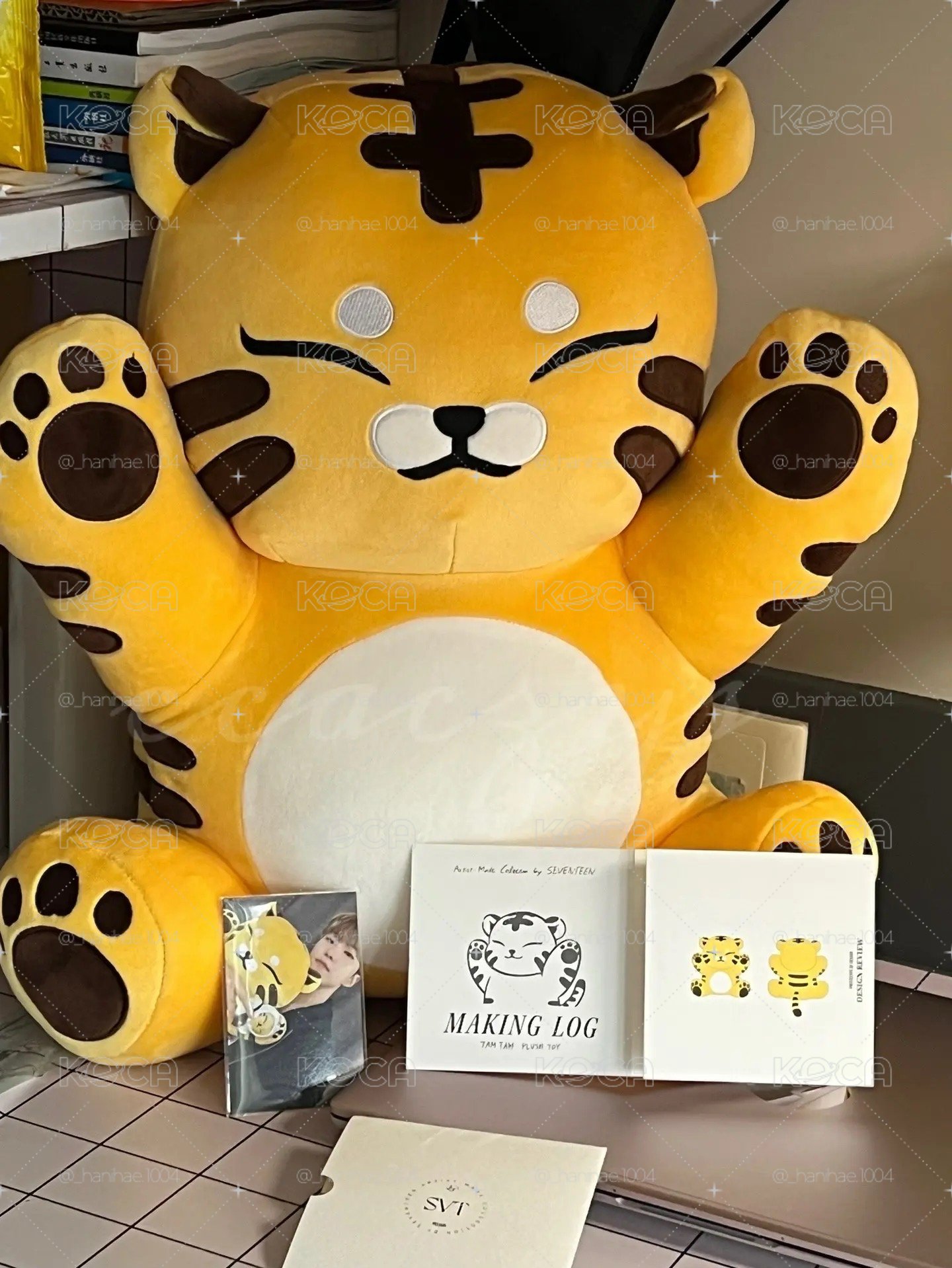 大眈眈｜含製程、小卡｜Artist-Made Collection by SEVENTEEN Hoshi